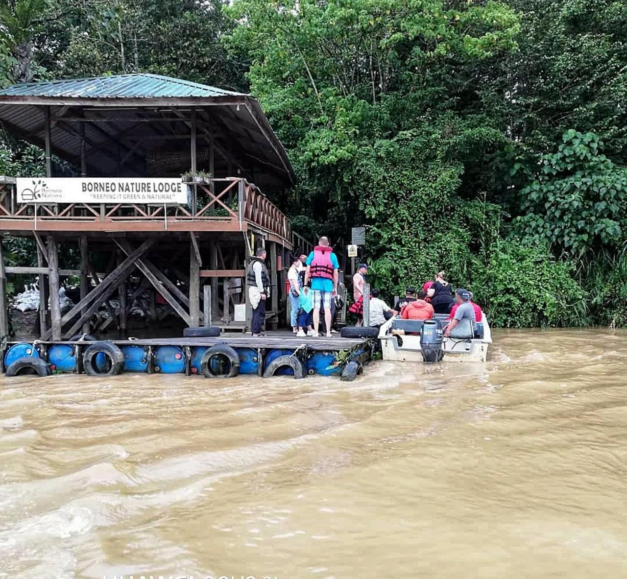 Borneo Nature Lodge Sukau Exterior photo
